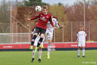 20170423_BLU19_FCN_FCIngolstadt-112